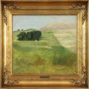 Landscape Landscape