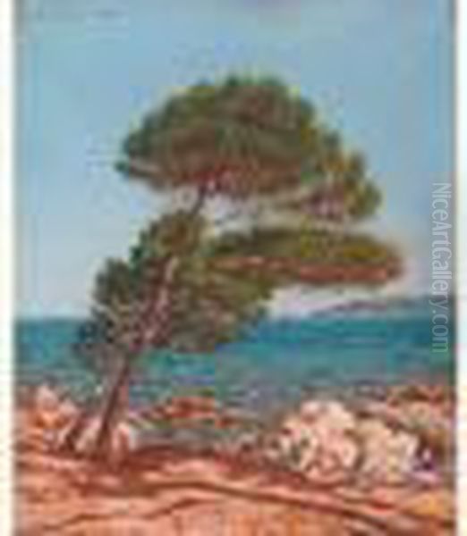 "plage Du Pinet Vers 1890" - view 1