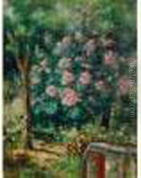 Lauriers Roses En Fleur - view 1