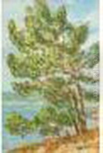 Les Pins Au Pinet A Saint Tropez by Auguste Pegurier