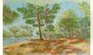 La Pinede