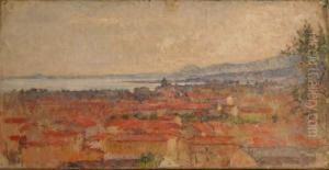 Paysage De Bord De Mer