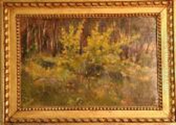 Paysage De Sous-bois - view 1