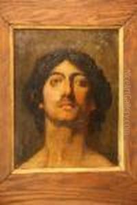 Tete De Jeune Homme Tete De Jeune Homme