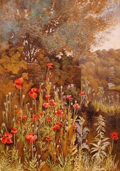 Poppies on a River Bank - view 1