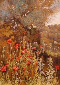 Poppies on a River Bank