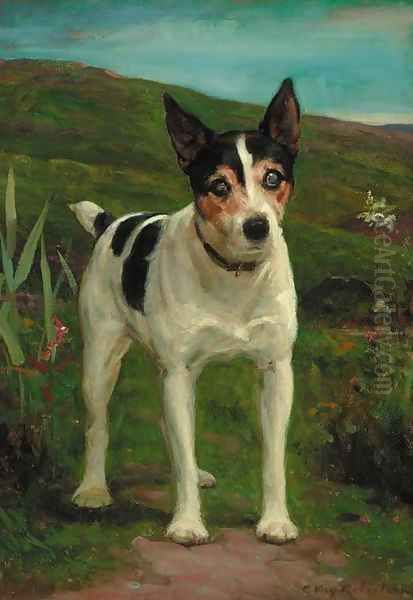 Joseph, a Jack Russell terrier - view 1