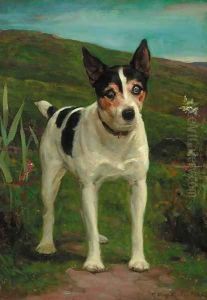 Joseph, a Jack Russell terrier