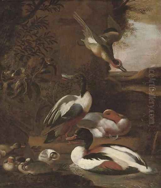 Ducks in a landscape - view 1