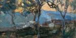 Paesaggio Con Alberi