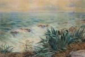 Alla Spiaggia