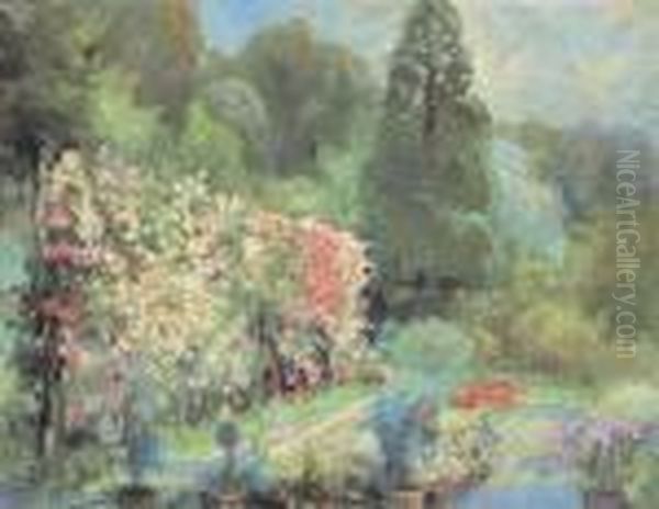 Fioritura Nel Parco - view 1