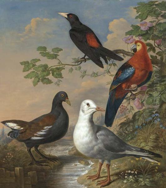 A Moorhen, A Gull, A Scarlet Macaw And Red-Rumped A Cacique By A Stream In A Landscape - view 1