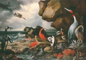 A penguin, a pair of flamingoes and other exotic birds, shells and coral on the shoreline by Philip Reinagle
