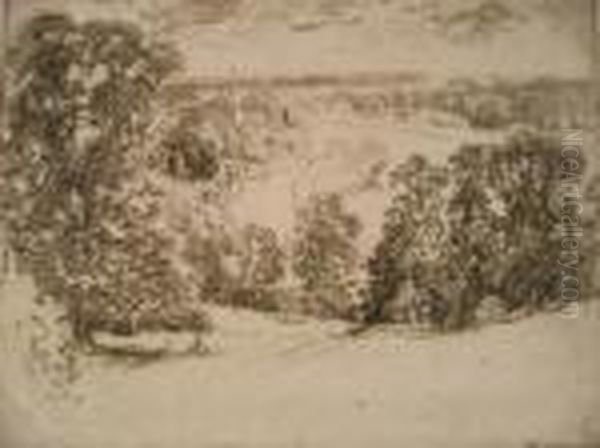 Landscape - view 1