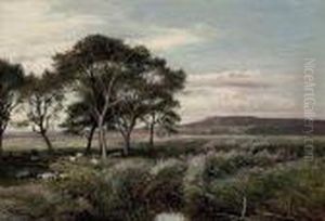 A Reedy Meadow, North Wales by Sidney Richard Percy