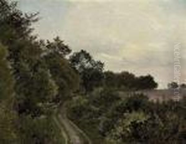 The Wooded Track - view 1