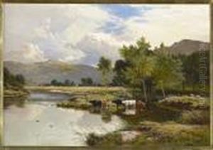 Cattle Watering By A Riverbank