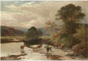 Cattle At A Ford On The East Lyn, North Devon