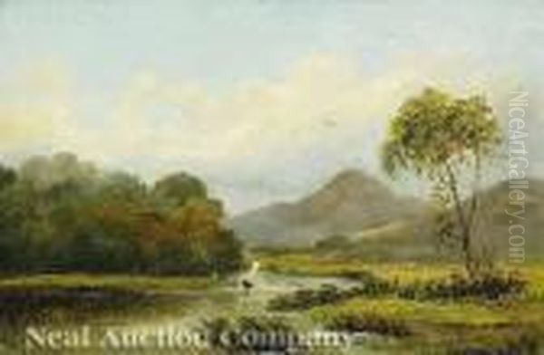The Mawddachvalley, North Wales - view 1