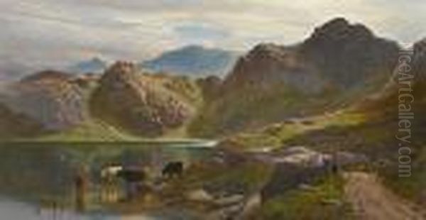 Cattle Watering In A Mountain Lake - view 1