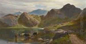 Cattle Watering In A Mountain Lake