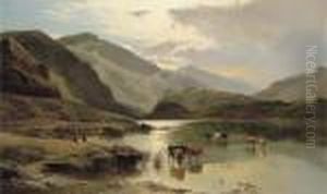 On The Mawddach, North Wales