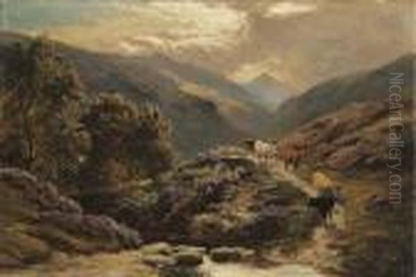 Cattle In A Highland Landscape - view 1