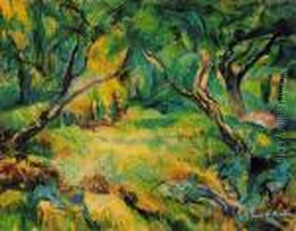 Shadowy Garden In Szentendre - view 1