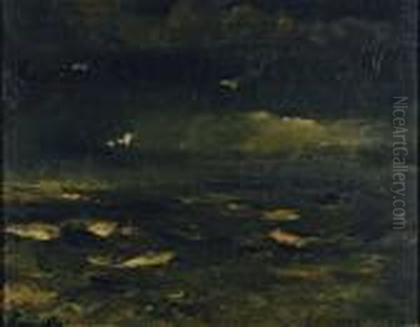 Marine - view 1