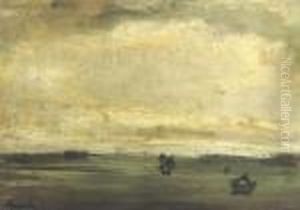 Weiland Na Onweer - Field After Storm