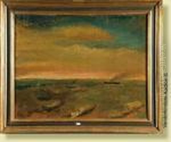 Marine - view 1