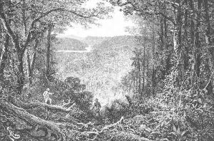 The Source of the Oyapock, engraved by A. Kohl, page 199 from Voyages in South America by J. Crevaux, 1883 by Edouard Riou