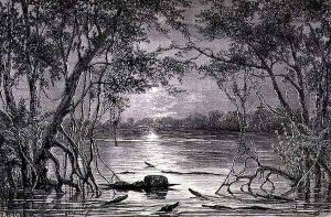 Moonlight Effect on the Lake Juteca, page 457 from Vol. 2 of Journey Across South America by P. Marcoy, 1873 by Edouard Riou