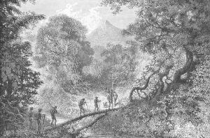 Crossing a Stream along a Fallen Tree, engraved by C. Laplante, page 79 from Voyages in South America by J. Crevaux, 1883 by Edouard Riou