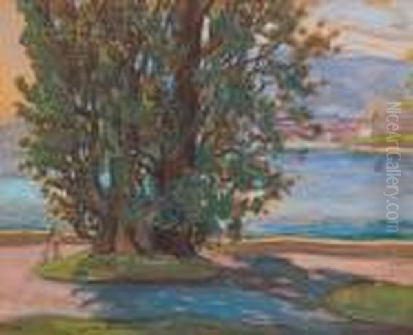 Paysage Suisse - view 1