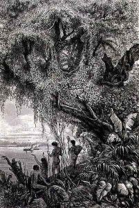 The First Steam-boat on the Amazon, page 491 from Vol.2 of Journey Across South America by P. Marcoy, 1873 by Edouard Riou