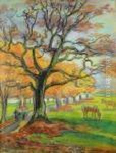 Automne, Sur La Route De Bormes Les Mimosas
