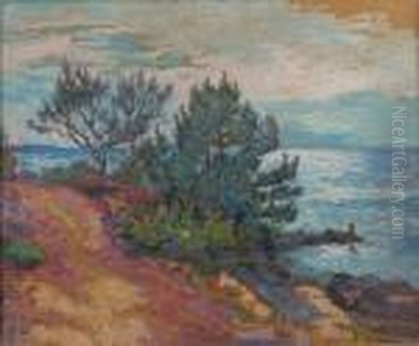 Mediterranee, Pins En Bord De Mer - view 1