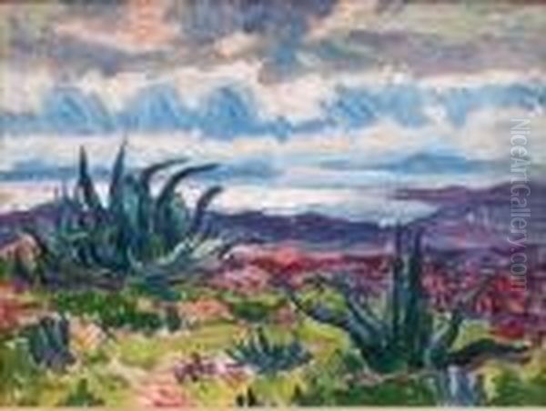 Paysage Mediterraneen - view 1