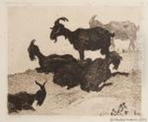 Chevres Au Repos