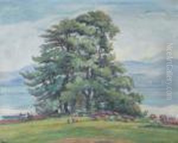 Parc Au Bord De L'eau - view 1