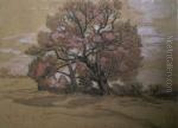 Les Grands Arbres - view 1