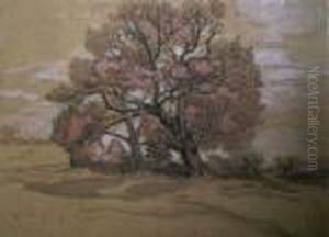 Les Grands Arbres Les Grands Arbres