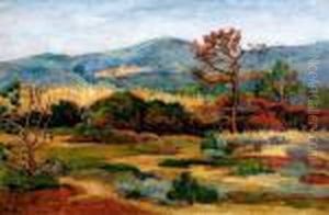 Les Environs De Bormes-les-mimosas