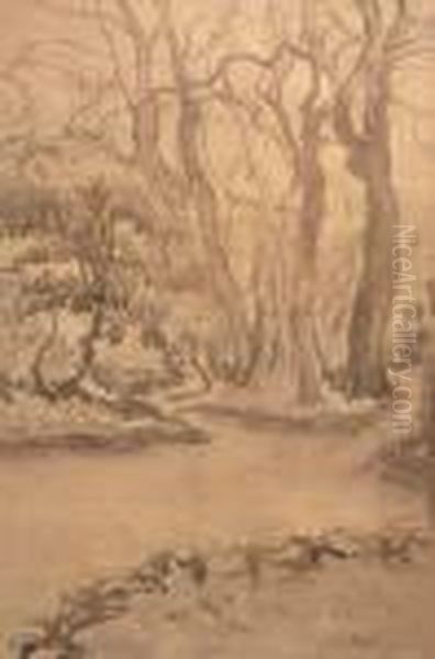 Promenade Dans Le Bois - view 1