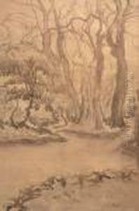 Promenade Dans Le Bois Promenade Dans Le Bois