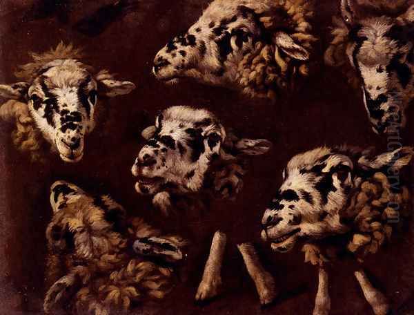 A Study Of Heads Of Sheep - view 1