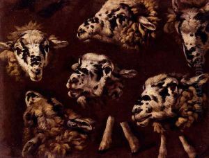 A Study Of Heads Of Sheep by Johann Melchior Roos