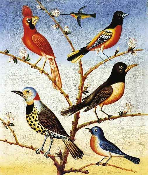 Humming Bird, Red Bird, Baltimore Bird, Robbin, Flicker, Blue Bird - view 1